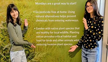 Growing Ideas Through Code